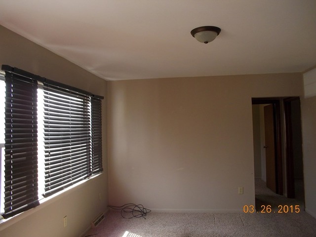 1283 Chestnut St, Eldena, IL 61324 photo 5