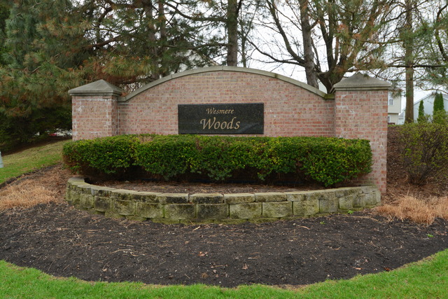 5305 Foxwood Ct, Plainfield, IL 60586 photo 20
