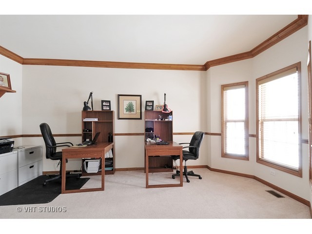 13232 Birdseye Ct, Plainfield, IL 60585 photo 3