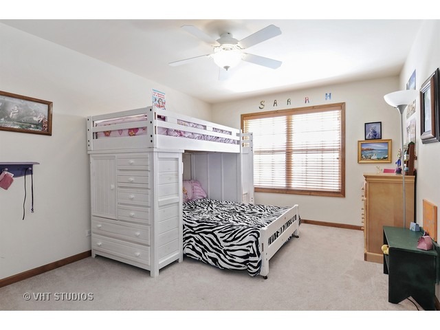 13232 Birdseye Ct, Plainfield, IL 60585 photo 13
