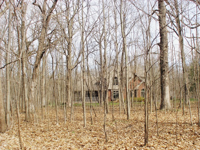 5324 W Pauling Rd, Monee, IL 60449 photo 23