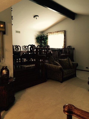 30 E Donovan Ct, Crete, IL 60417 photo 4