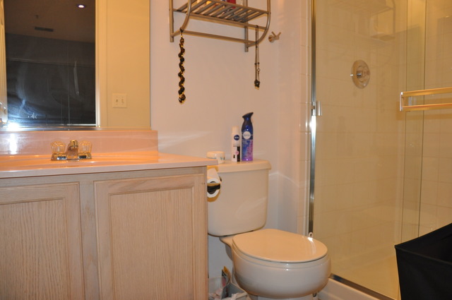 1717 Sienna Ct, Wheeling, IL 60090 photo 20