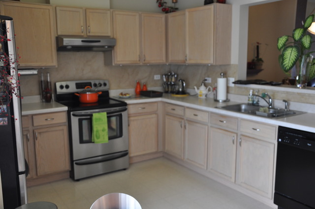 1717 Sienna Ct, Wheeling, IL 60090 photo 4