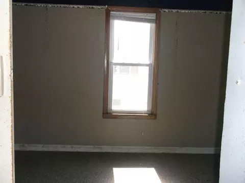 114 S St Paul St, Mark, IL 61340 photo 9