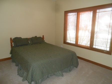 1064 Forest View Dr, Morris, IL 60450 photo 20