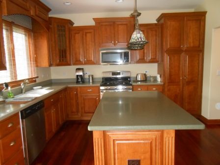 1064 Forest View Dr, Morris, IL 60450 photo 6