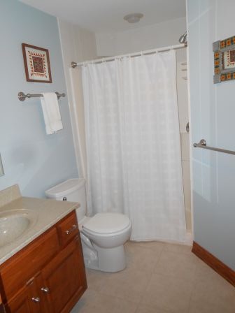 1064 Forest View Dr, Morris, IL 60450 photo 24