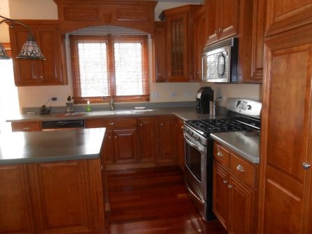 1064 Forest View Dr, Morris, IL 60450 photo 7