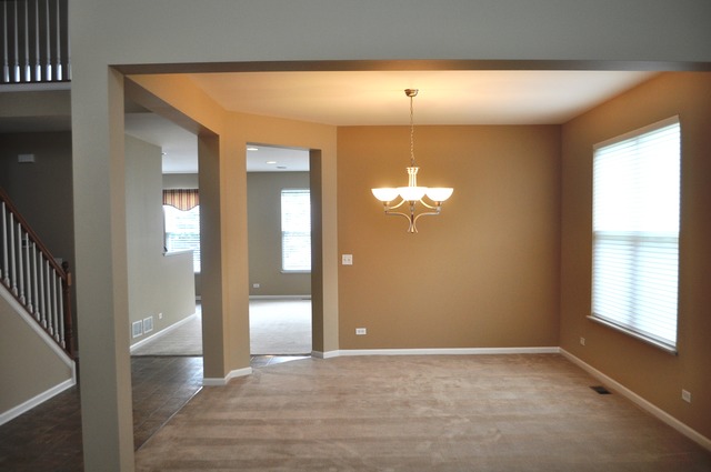 354 Cassidy Ln, Elgin, IL 60124 photo 9