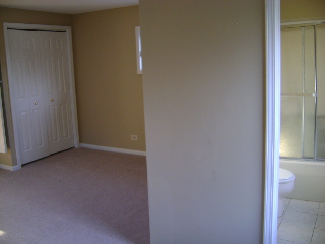 451 Jackson St, Aurora, IL 60505 photo 11