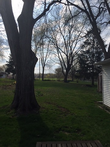 1323 N Eagle St, Naperville, IL 60563 photo 9