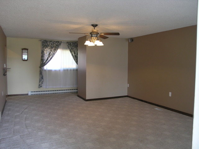 1375 E North St, Bradley, IL 60915 photo 5