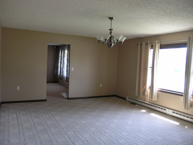 1375 E North St, Bradley, IL 60915 photo 4