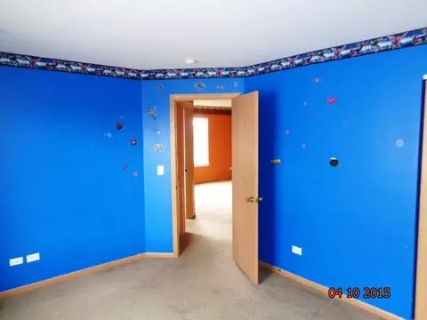 1435 Sedge Pass, Minooka, IL 60447 photo 22