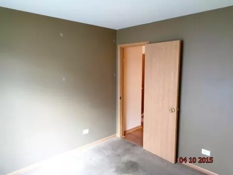 1435 Sedge Pass, Minooka, IL 60447 photo 11