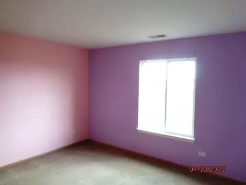 1435 Sedge Pass, Minooka, IL 60447 photo 19