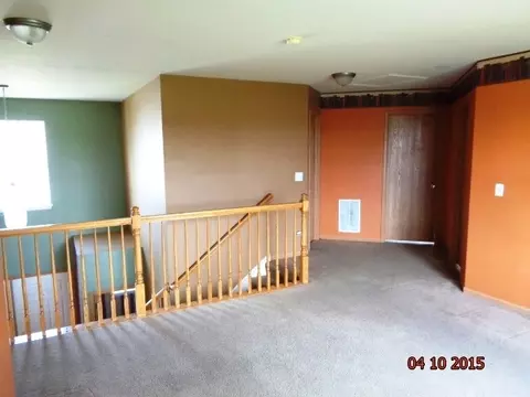 1435 Sedge Pass, Minooka, IL 60447 photo 14