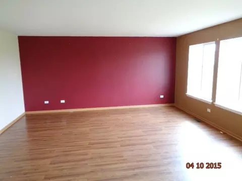 1435 Sedge Pass, Minooka, IL 60447 photo 8