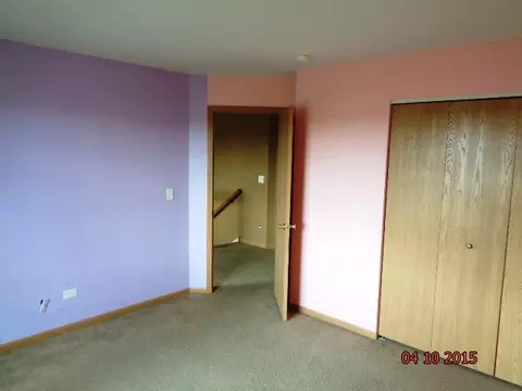 1435 Sedge Pass, Minooka, IL 60447 photo 20