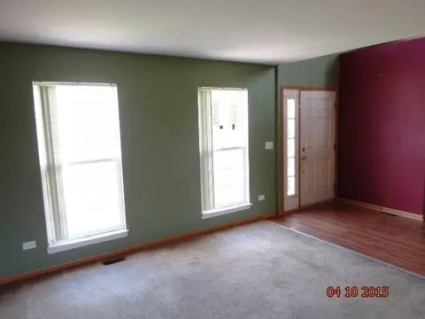 1435 Sedge Pass, Minooka, IL 60447 photo 3