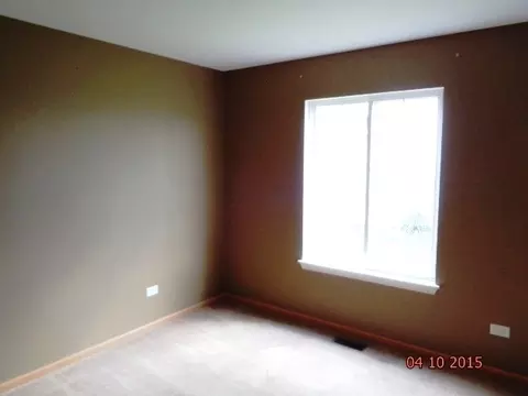 1435 Sedge Pass, Minooka, IL 60447 photo 10