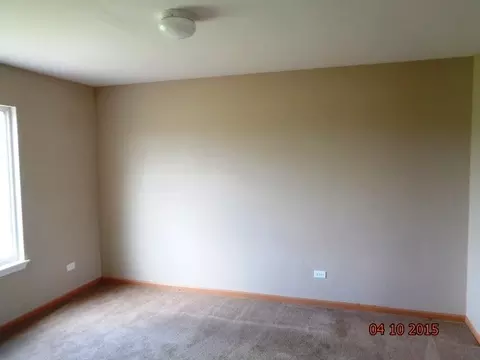 1435 Sedge Pass, Minooka, IL 60447 photo 5
