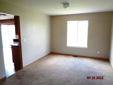 1435 Sedge Pass, Minooka, IL 60447 photo 4