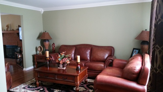 1742 Ariana Dr, Bartlett, IL 60103 photo 3