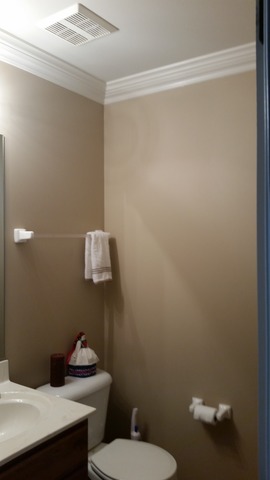1742 Ariana Dr, Bartlett, IL 60103 photo 19