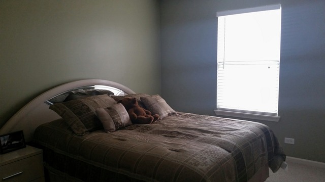1742 Ariana Dr, Bartlett, IL 60103 photo 12