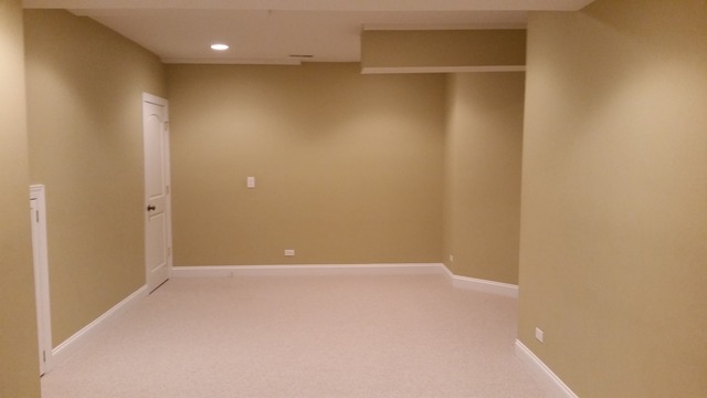1742 Ariana Dr, Bartlett, IL 60103 photo 18
