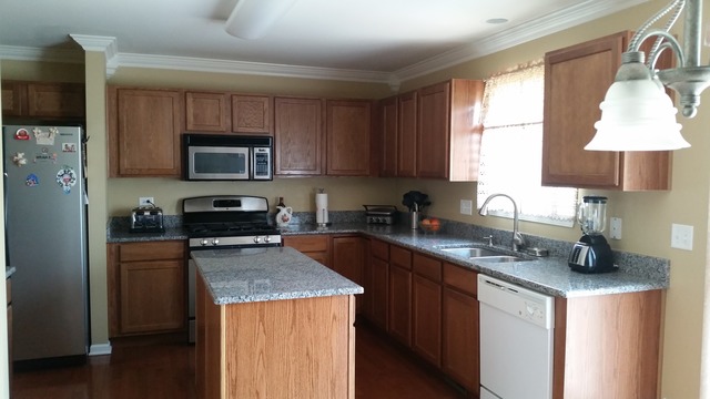 1742 Ariana Dr, Bartlett, IL 60103 photo 7