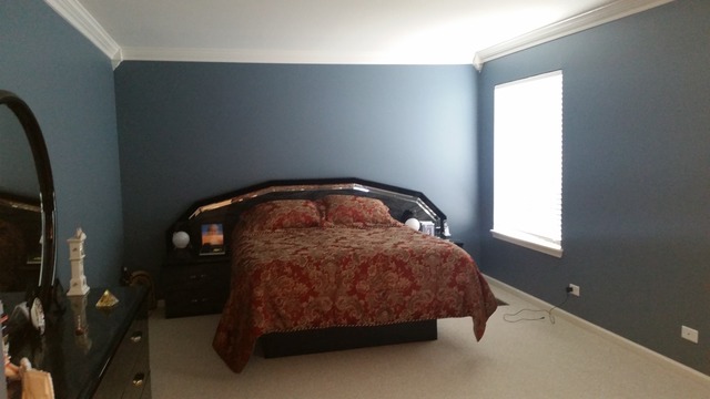 1742 Ariana Dr, Bartlett, IL 60103 photo 9