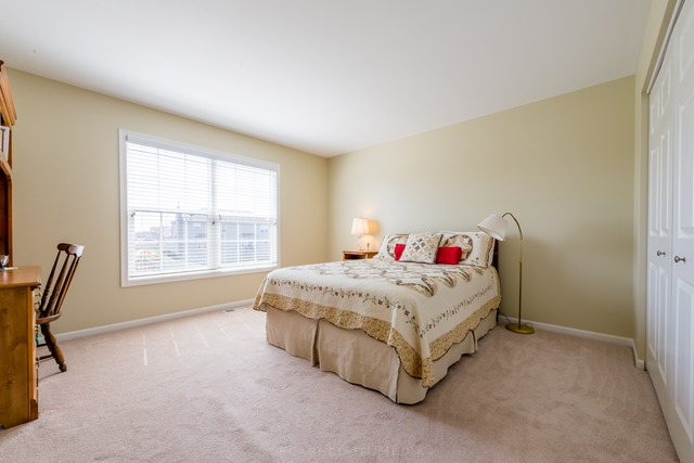 23703 W Ewing Dr, Plainfield, IL 60586 photo 19