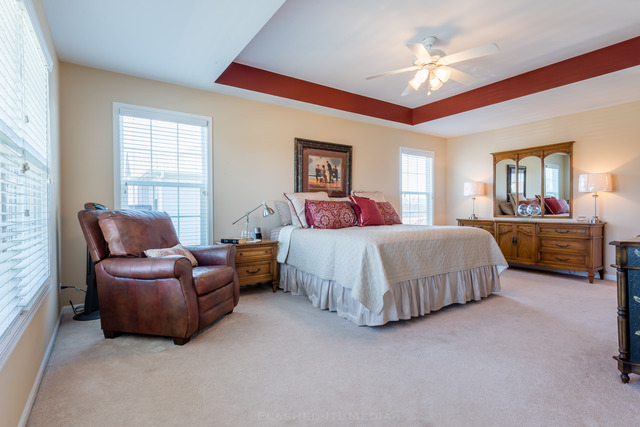 23703 W Ewing Dr, Plainfield, IL 60586 photo 15
