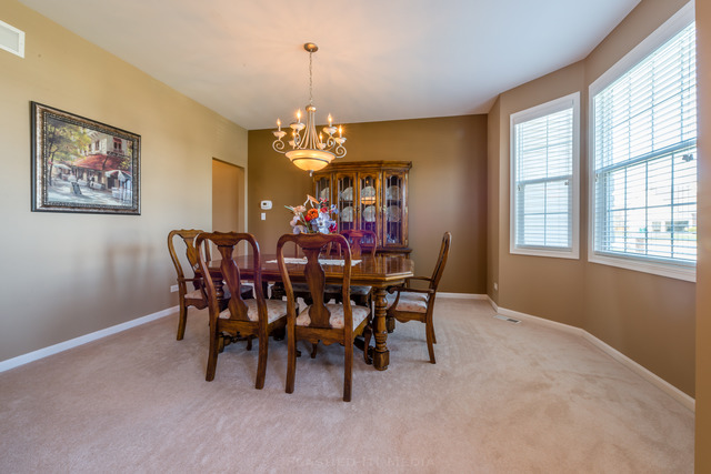 23703 W Ewing Dr, Plainfield, IL 60586 photo 3
