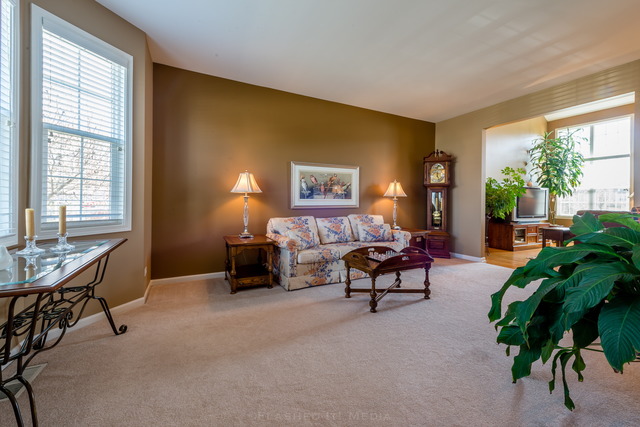 23703 W Ewing Dr, Plainfield, IL 60586 photo 2
