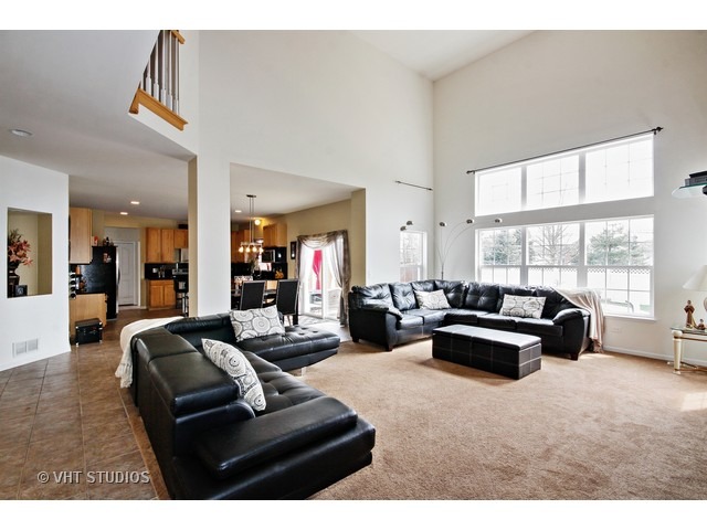 16355 Springview Dr, Lockport, IL 60441 photo 8