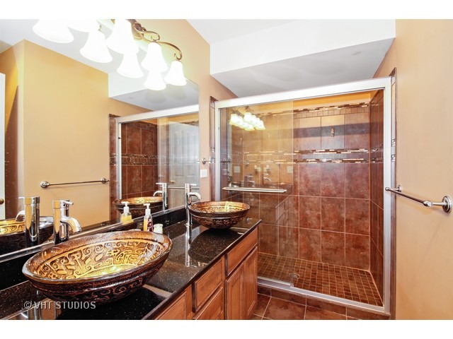 16355 Springview Dr, Lockport, IL 60441 photo 18