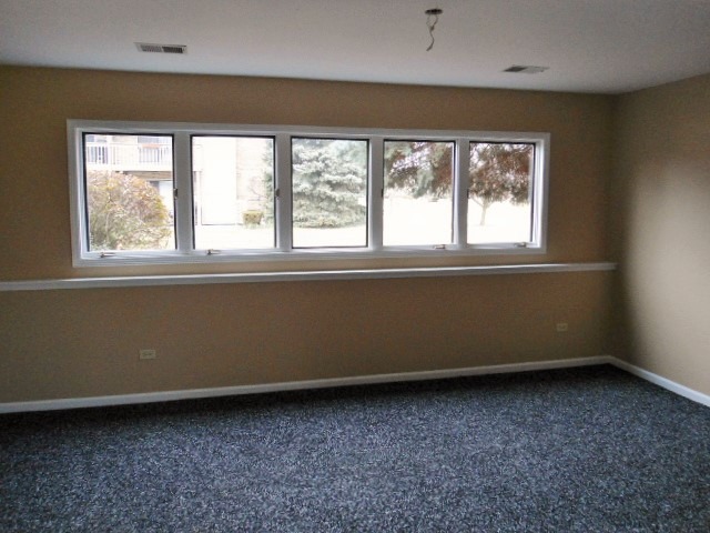 2305 Olde Mill Rd, Plainfield, IL 60586 photo 17