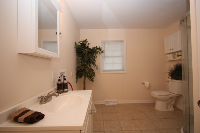 15470 Hamlin Ave, Markham, IL 60428 photo 9
