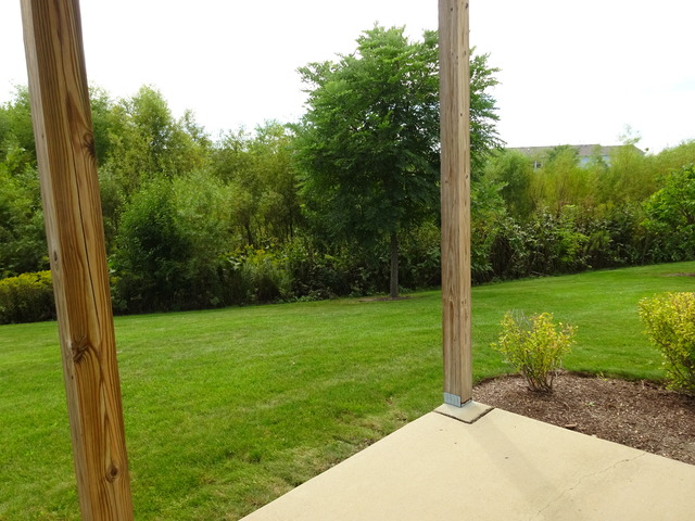 17 Millbrook Ct, Algonquin, IL 60102 photo 13