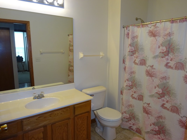 17 Millbrook Ct, Algonquin, IL 60102 photo 11