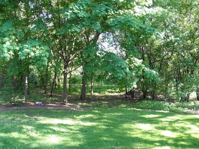 1223 Keim Trl, Bartlett, IL 60103 photo 24