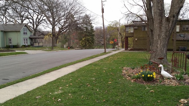 687 Forest Ave, Elgin, IL 60120 photo 9