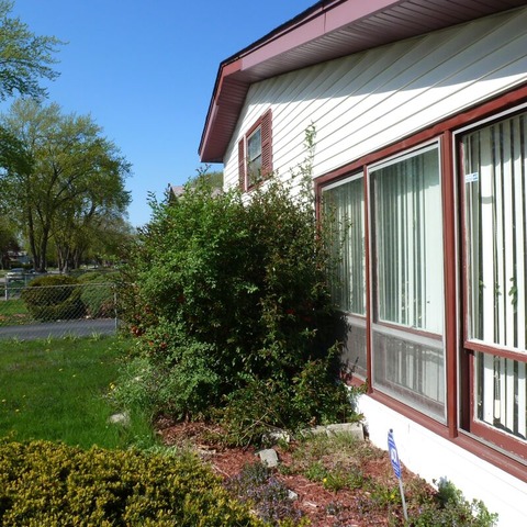 16451 Wolcott Ave, Markham, IL 60428 photo 3