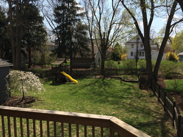 116 E Madison Ave, Wheaton, IL 60187 photo 11