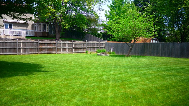 788 Heather Ln, Bartlett, IL 60103 photo 22