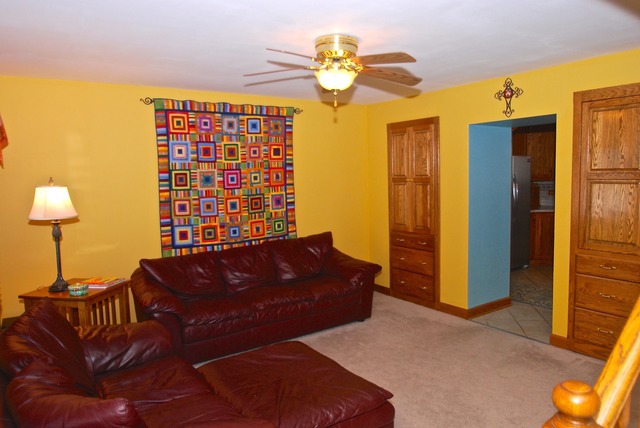 788 Heather Ln, Bartlett, IL 60103 photo 9